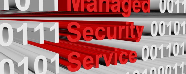 The Value of Partnering with a Managed Security Services Provider (MSSP)